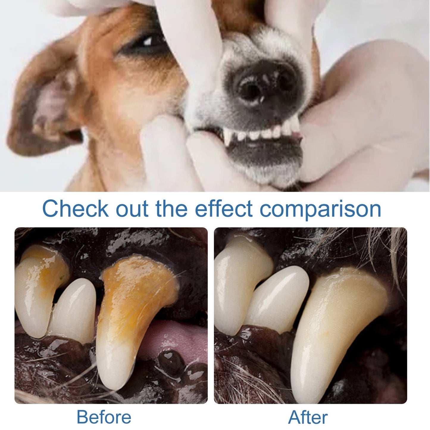 OmniPet™ – Spray de soins buccaux pour chiens et chats