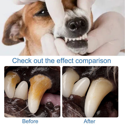 OmniPet™ – Spray de soins buccaux pour chiens et chats