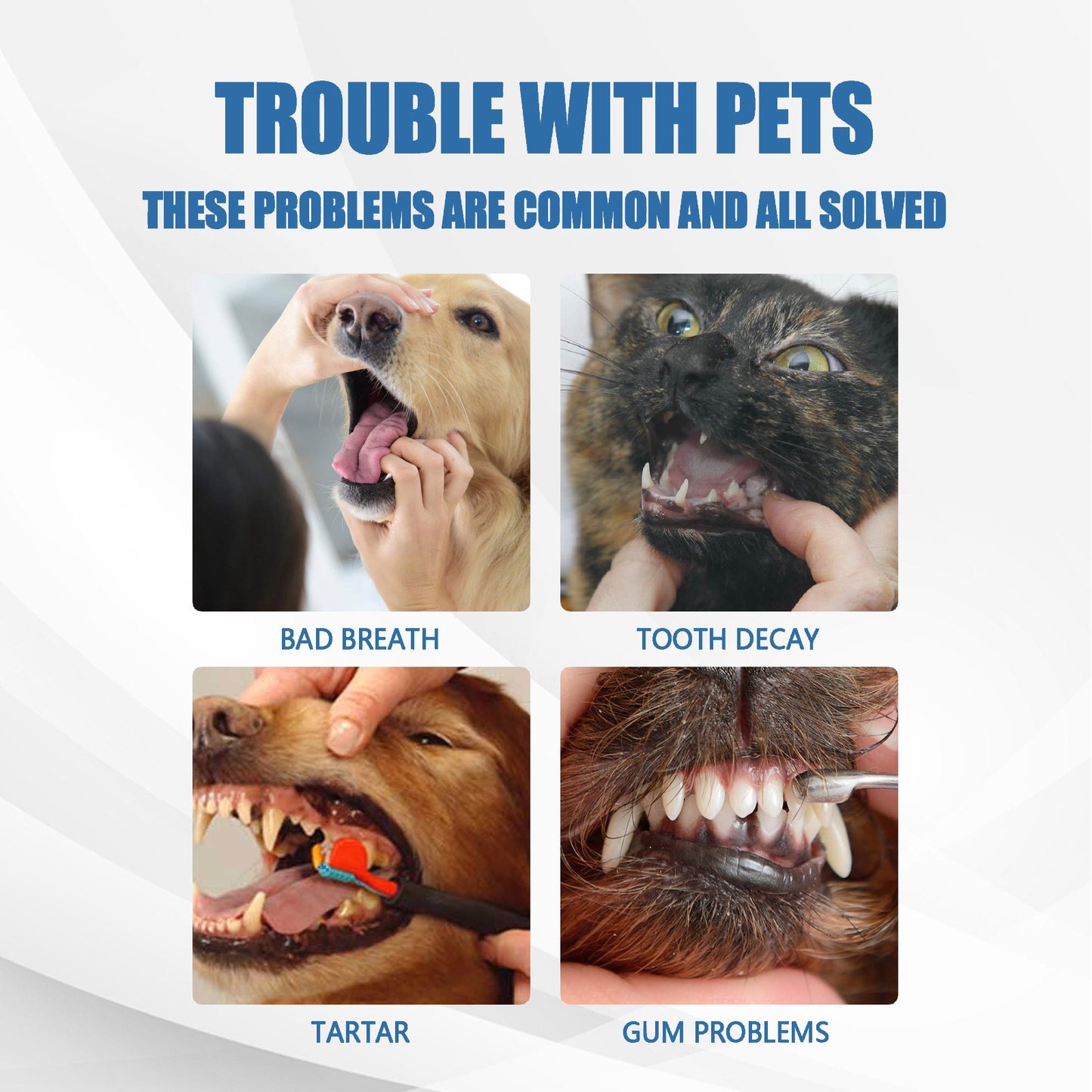 OmniPet™ – Spray de soins buccaux pour chiens et chats