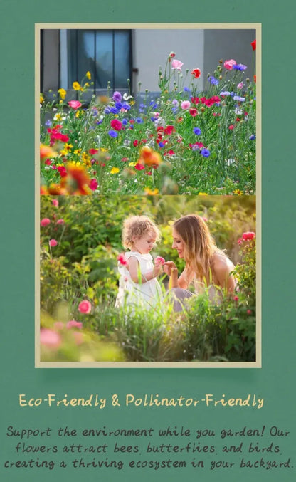NatureGlow – Roses trémières faciles à cultiver，Semis automne-hiver. Floraisons vivaces. Un aménagement paysager époustouflant.