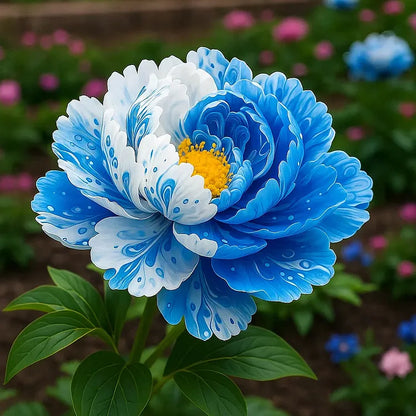 PeonyBloom – Les pivoines doubles rares à floraison spectaculaire