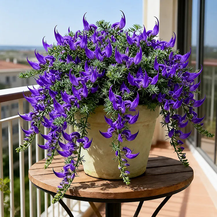 ParrotBloom – Les bulbes de fleurs uniques en bec de perroquet （100 graines）