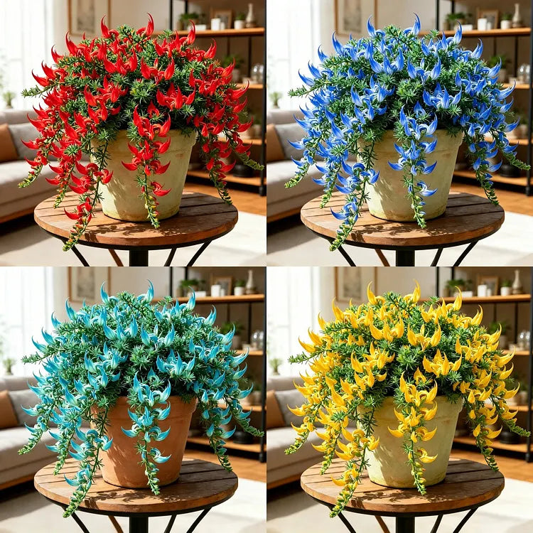 ParrotBloom – Les bulbes de fleurs uniques en bec de perroquet （100 graines）