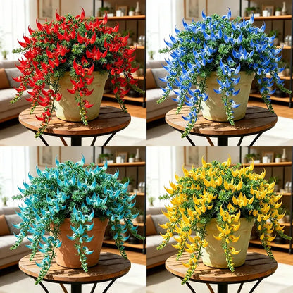 ParrotBloom – Les bulbes de fleurs uniques en bec de perroquet （100 graines）