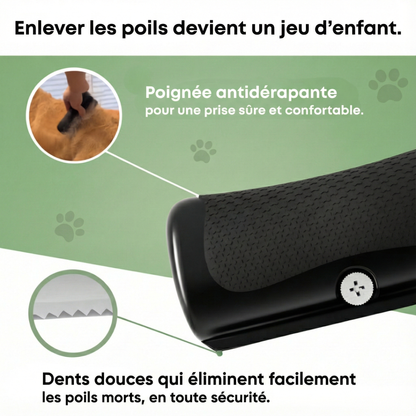 ExpertMue™ – Élimination efficace des poils morts pour un intérieur propre