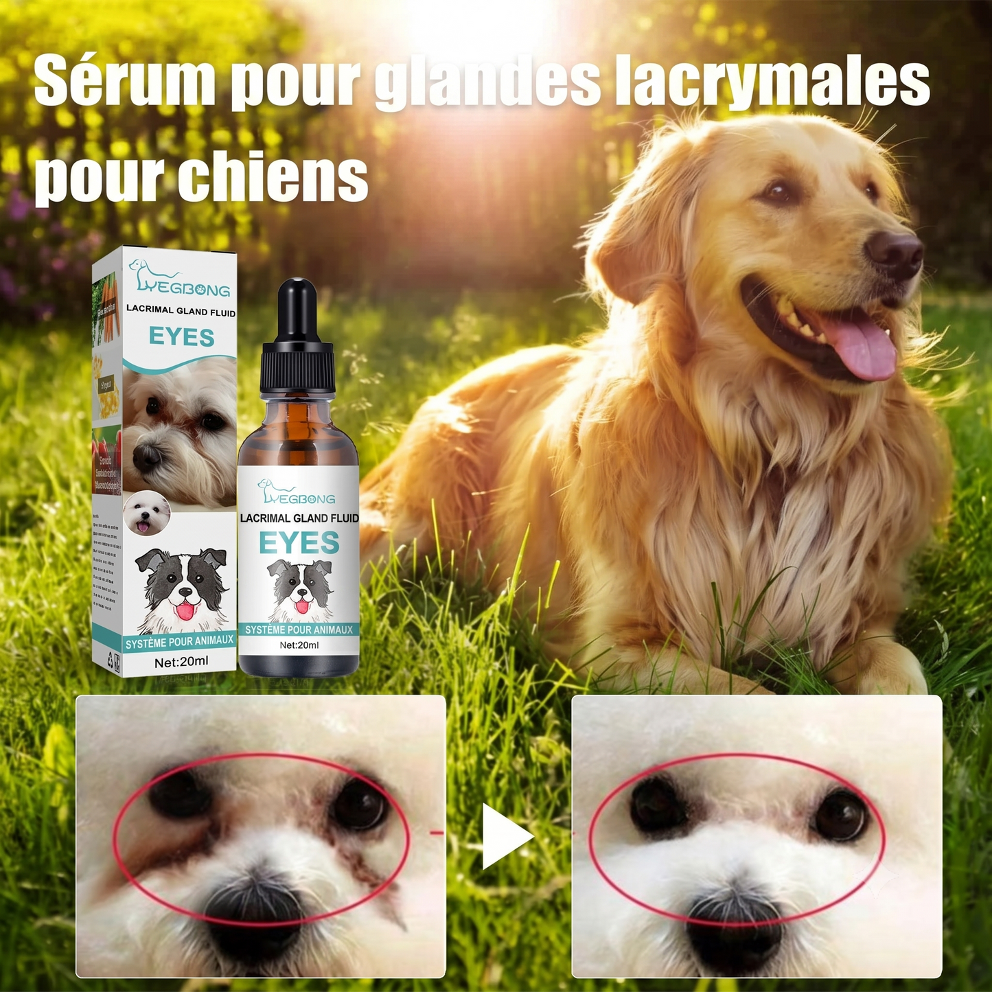 OptiClean – Action curative et préventive facile à utiliser pour une hygiène oculaire quotidienne irréprochable
