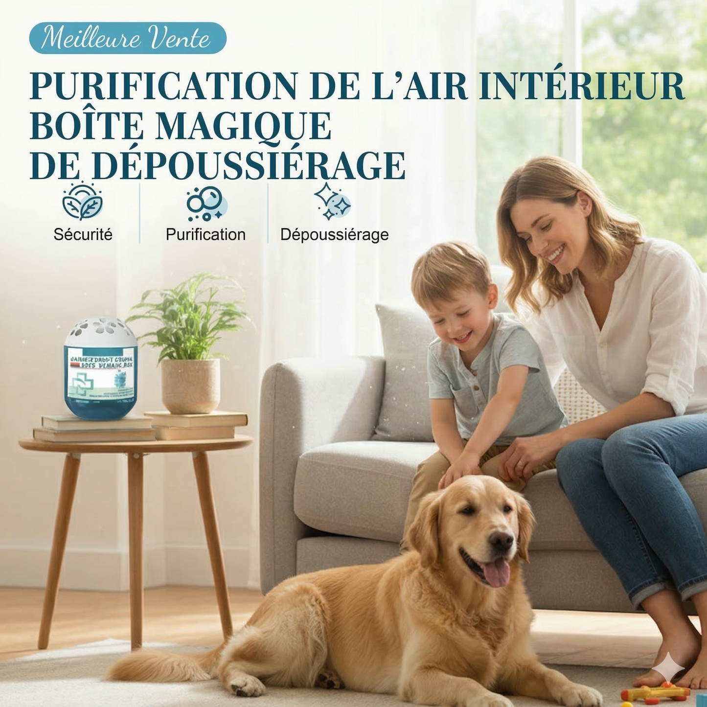 PurifiBox™ –  Formule végétale sûre qui purifie l'air Collecte passive de la poussière sans électricité