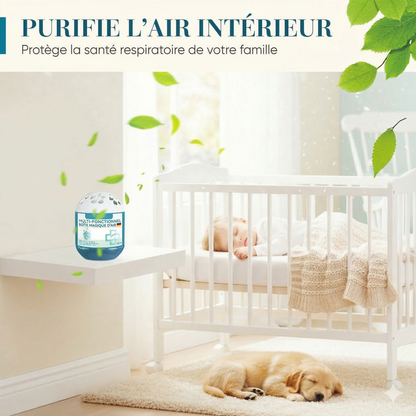 PurifiBox™ –  Formule végétale sûre qui purifie l'air Collecte passive de la poussière sans électricité