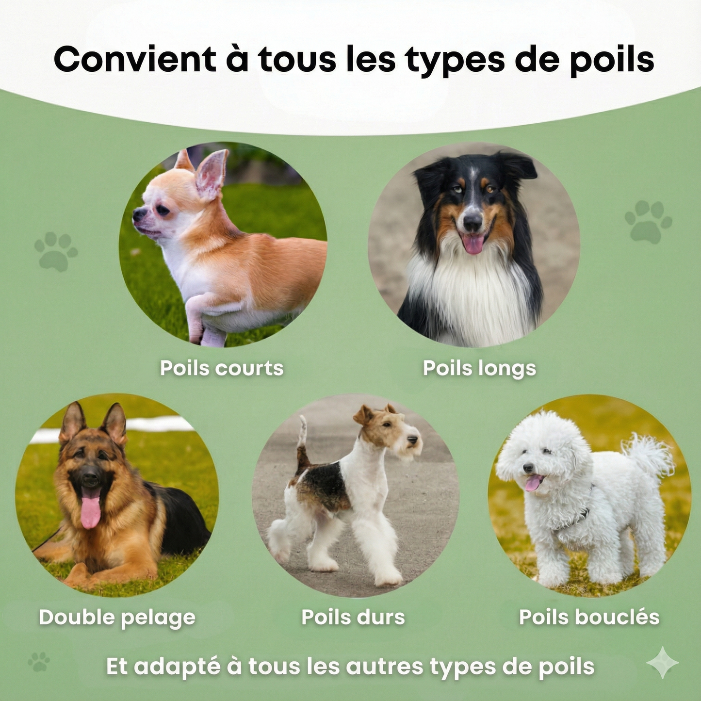 ExpertMue™ – Élimination efficace des poils morts pour un intérieur propre