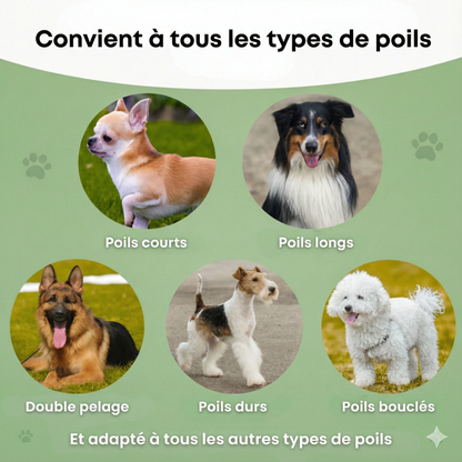 ExpertMue™ – Élimination efficace des poils morts pour un intérieur propre