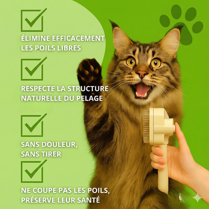 FelinLisse™ – Le brossage anti-mue, zéro irritation