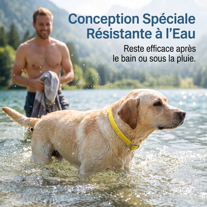 NaturaShield – Le collier aux huiles essentielles naturelles pour une protection douce et redoutable de votre animal