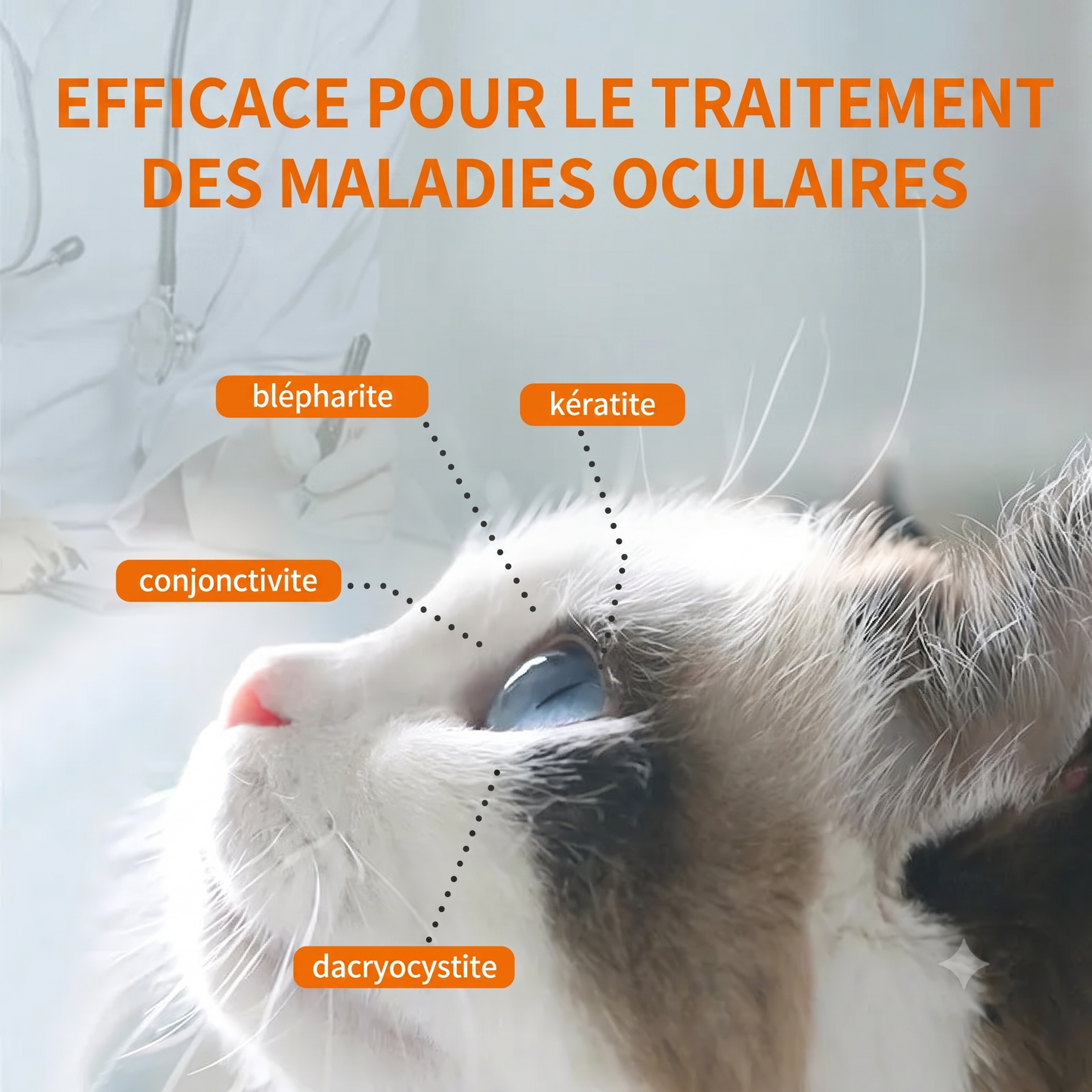 OptiClean – Action curative et préventive facile à utiliser pour une hygiène oculaire quotidienne irréprochable