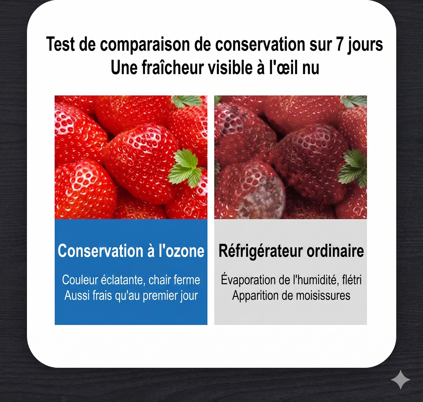 PureZon – Le purificateur à l'ozone avancé pour prolonger la fraîcheur et stériliser votre réfrigérateur