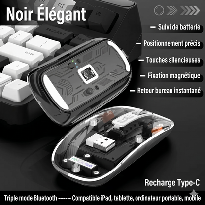 ClickMaster Pro™ – La souris mécanique silencieuse à trois modes de connexion