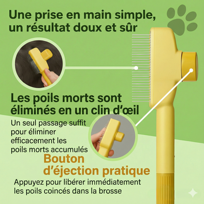 FelinLisse™ – Le brossage anti-mue, zéro irritation