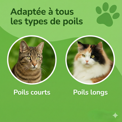 FelinLisse™ – Le brossage anti-mue, zéro irritation