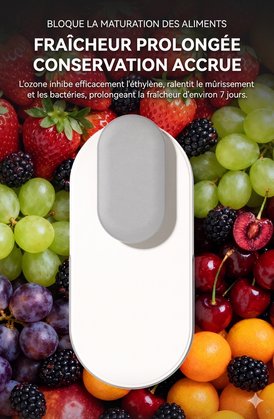 PureZon – Le purificateur à l'ozone avancé pour prolonger la fraîcheur et stériliser votre réfrigérateur