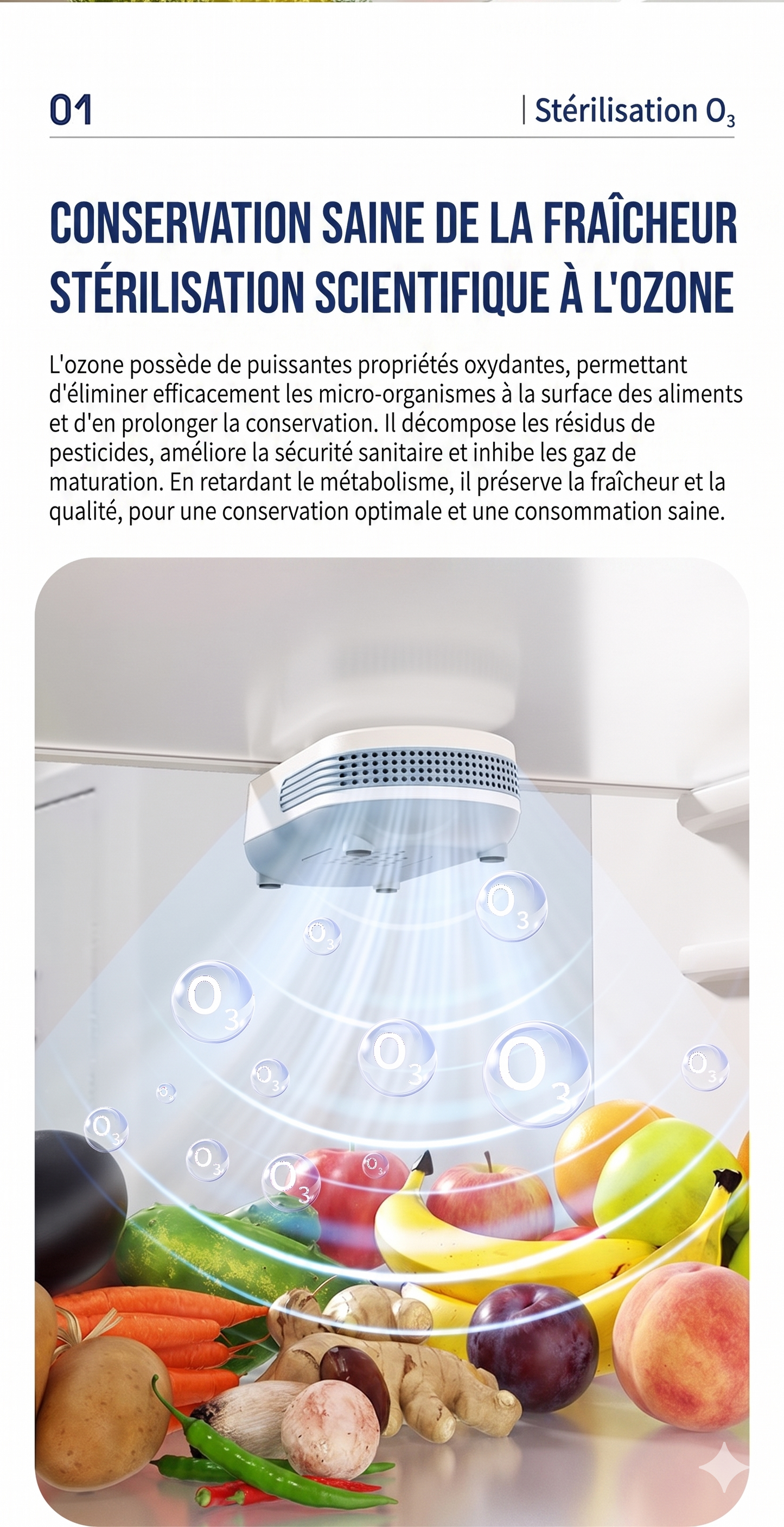 PureZon – Le purificateur à l'ozone avancé pour prolonger la fraîcheur et stériliser votre réfrigérateur
