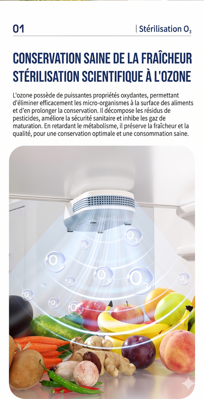 PureZon – Le purificateur à l'ozone avancé pour prolonger la fraîcheur et stériliser votre réfrigérateur