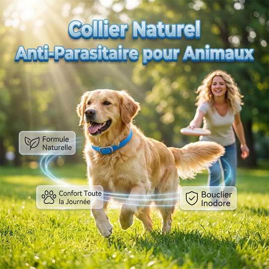 NaturaShield – Le collier aux huiles essentielles naturelles pour une protection douce et redoutable de votre animal
