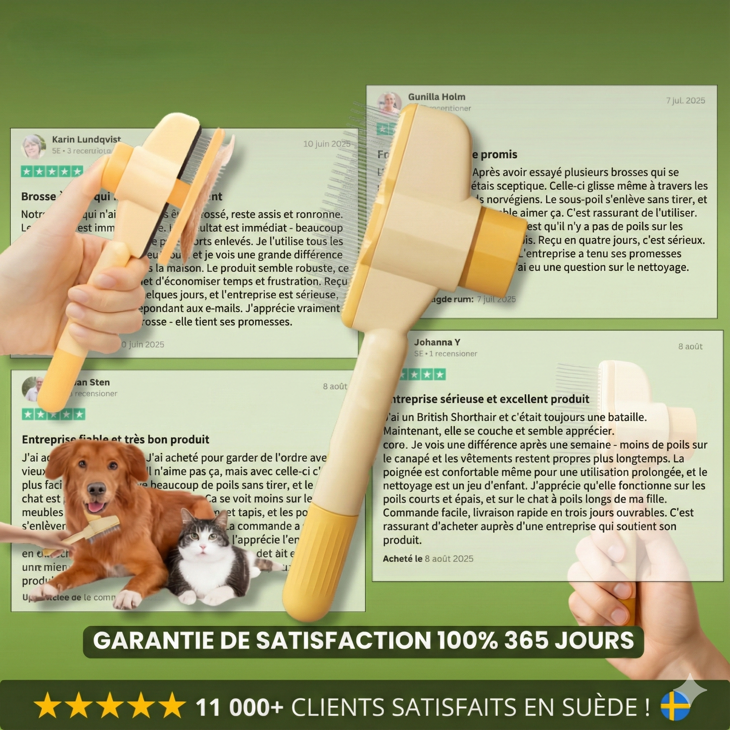 FelinLisse™ – Le brossage anti-mue, zéro irritation