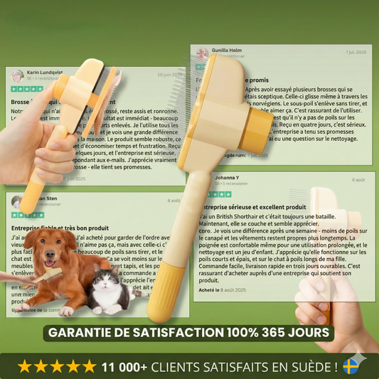FelinLisse™ – Le brossage anti-mue, zéro irritation