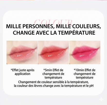 SatinGelée™ – Hydratation 5D et lèvres repulpées  （2 achetés = 1 offert）