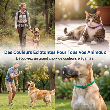 NaturaShield – Le collier aux huiles essentielles naturelles pour une protection douce et redoutable de votre animal