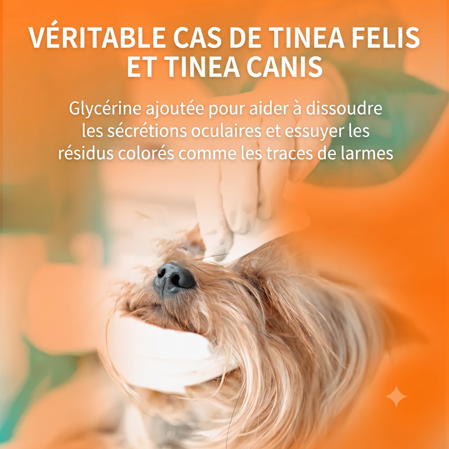 OptiClean – Action curative et préventive facile à utiliser pour une hygiène oculaire quotidienne irréprochable