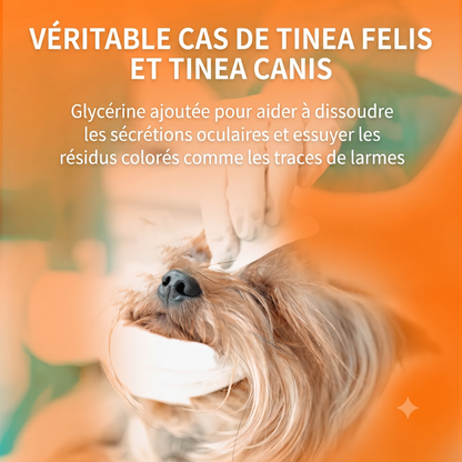 OptiClean – Action curative et préventive facile à utiliser pour une hygiène oculaire quotidienne irréprochable