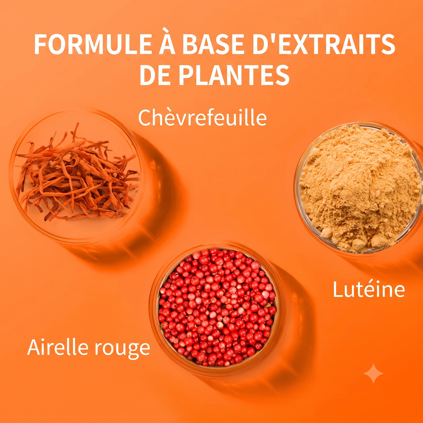 OptiClean – Action curative et préventive facile à utiliser pour une hygiène oculaire quotidienne irréprochable