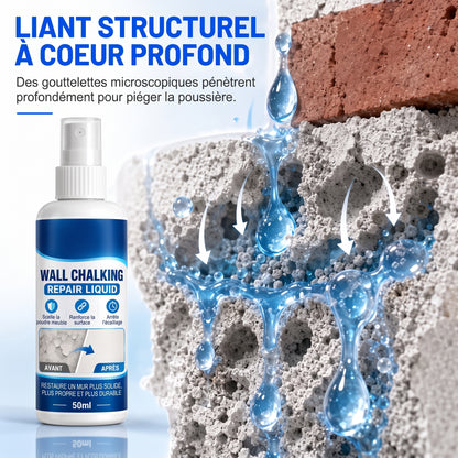 DustLock – Scelle instantanément le plâtre altéré et élimine l'effritement pour créer une base solide et durable