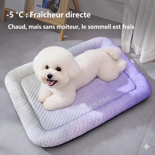 ChillMat – Le tapis rafraîchissant en soie de glace pour animaux