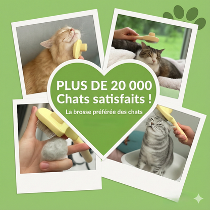 FelinLisse™ – Le brossage anti-mue, zéro irritation