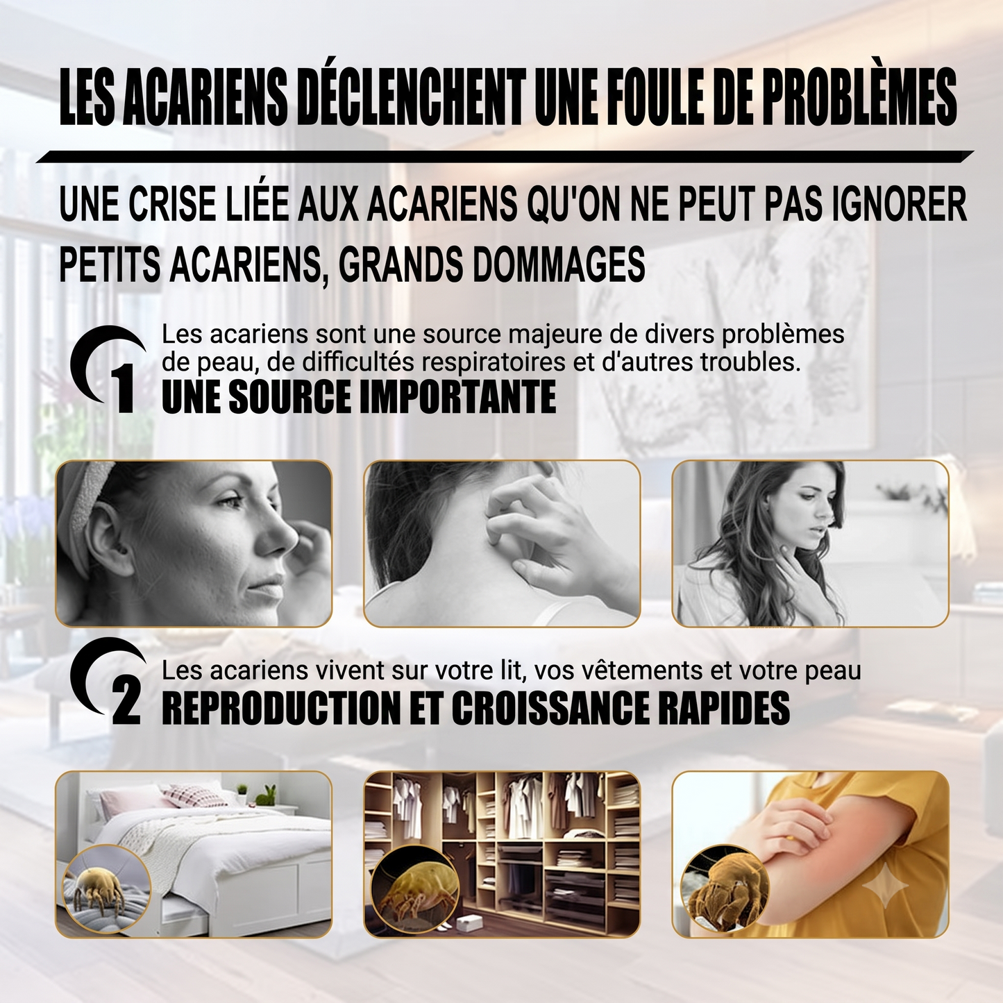 AcarZen – Sachet anti-acariens naturel et sûr