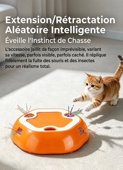 InstinctPlay 360 – Le plateau de chasse aléatoire pour félin
