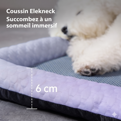 ChillMat – Le tapis rafraîchissant en soie de glace pour animaux