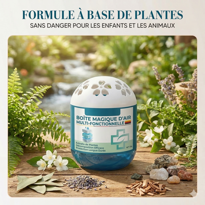 PurifiBox™ –  Formule végétale sûre qui purifie l'air Collecte passive de la poussière sans électricité