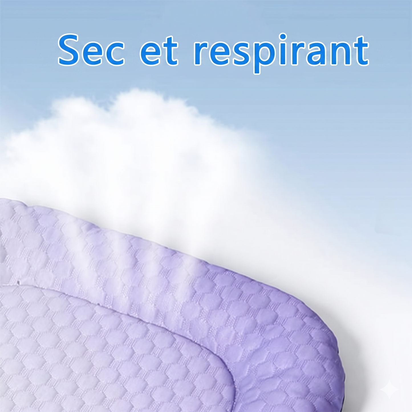 ChillMat – Le tapis rafraîchissant en soie de glace pour animaux
