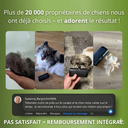 ExpertMue™ – Élimination efficace des poils morts pour un intérieur propre