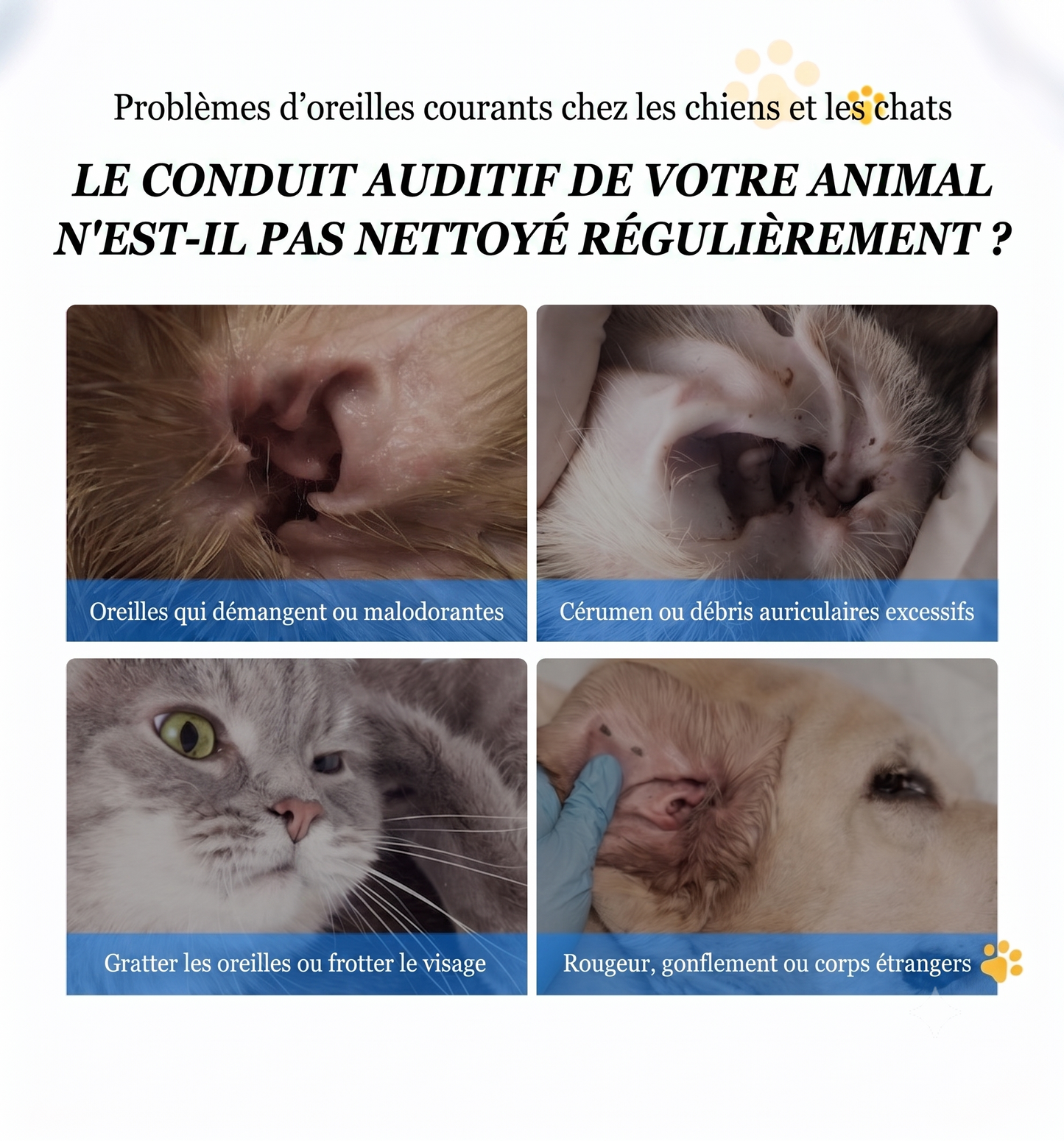 PuriEar – La solution nettoyante douce pour dissoudre le cérumen et éliminer les mauvaises odeurs