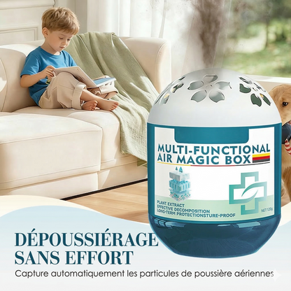 PurifiBox™ –  Formule végétale sûre qui purifie l'air Collecte passive de la poussière sans électricité