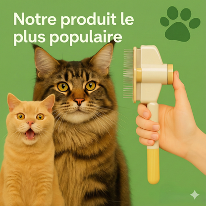 FelinLisse™ – Le brossage anti-mue, zéro irritation