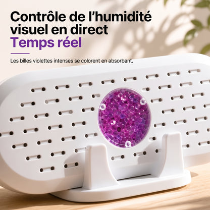 FreshWardrobe – L'anti-humidité écologique réutilisable à l'infini