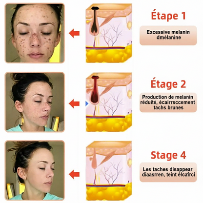 OmniGommage™ – Visage & Corps : la perfection sans grain