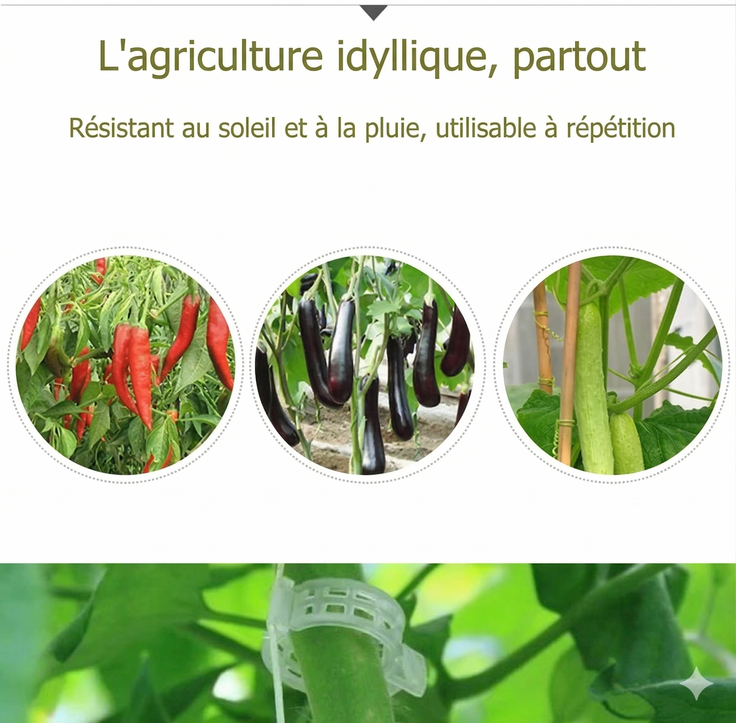 QuickLock™ – Verrouillage rapide et charnière réutilisable à l'infini