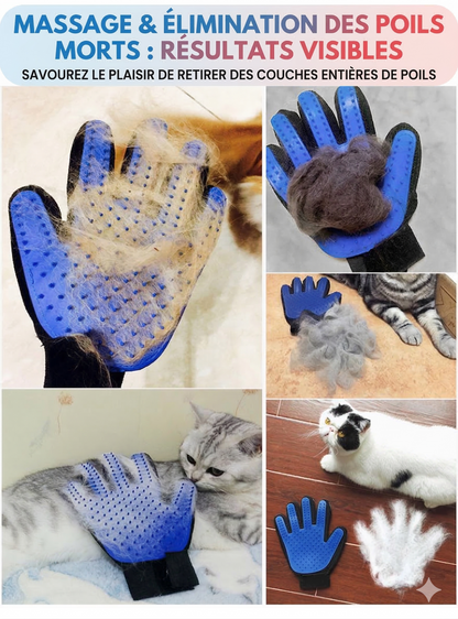 SoftPelage™ – Gants de massage en silicone souple pour l'épilation des poils d'animaux