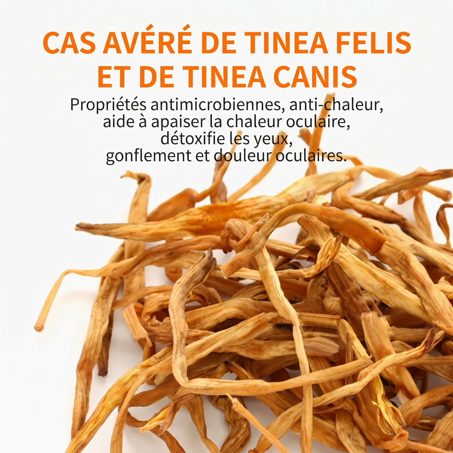 OptiClean – Action curative et préventive facile à utiliser pour une hygiène oculaire quotidienne irréprochable