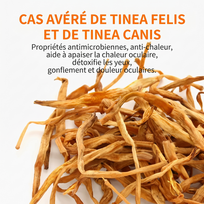 OptiClean – Action curative et préventive facile à utiliser pour une hygiène oculaire quotidienne irréprochable